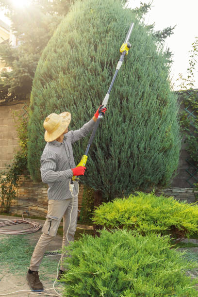 Best Lawn Pest Prevention  in Keowee Key, SC